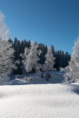 снег зима snow winter