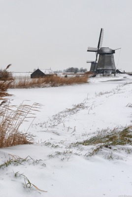 природа деревня дом снег зима забор мельница nature the village house snow winter fence mill