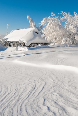 природа снег зима дом деревья nature snow winter the house trees