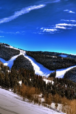 природа деревья снег зима небо nature trees snow winter the sky