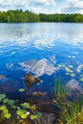 природа река деревья облака nature river trees clouds