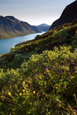 озеро горы the lake mountains