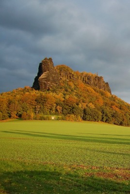 природа трава поле скалы деревья небо nature grass field rock trees the sky