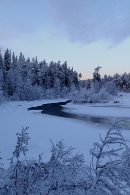 зима речка снег деревья winter the river snow trees