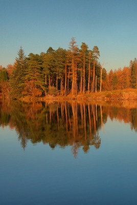 природа река отражение деревья осень