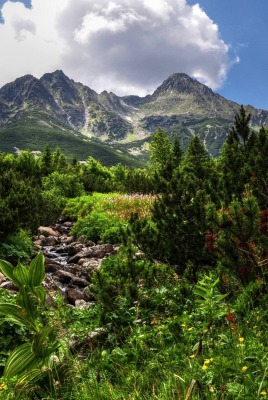 природа горы скалы деревья небо облака nature mountains rock trees the sky clouds