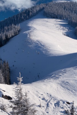 зима гора снег ели