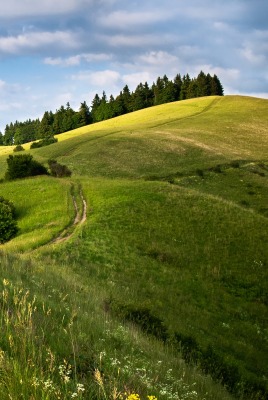 дорожка холмы track hills