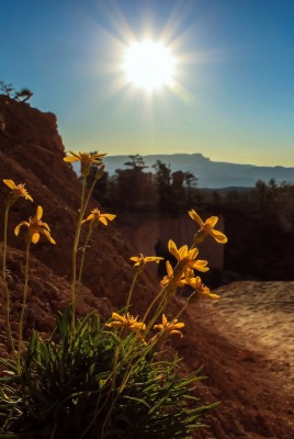 солнце каньон песок the sun canyon sand