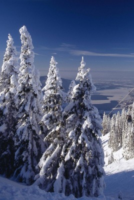 зима горы снег ели winter mountains snow ate