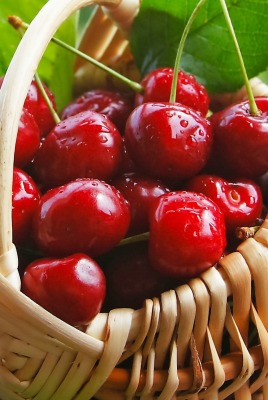 корзина вишни basket cherry