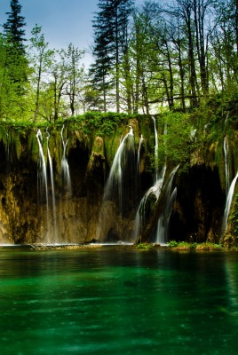 водопад лес waterfall forest