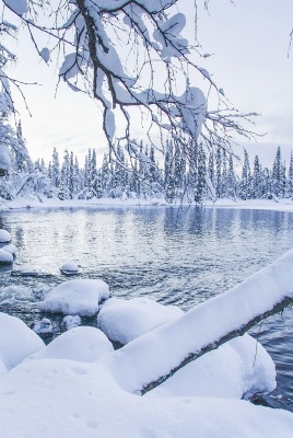 снег озеро зима snow the lake winter