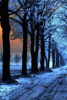 дорога вечер закат road evening sunset