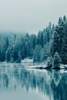 озеро зима иней the lake winter frost