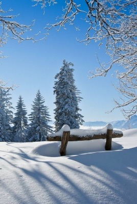 снег лавочка зима дерево snow shop winter tree