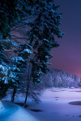 Ночь снег зима