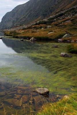 камень речка