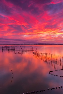 закат розовый море