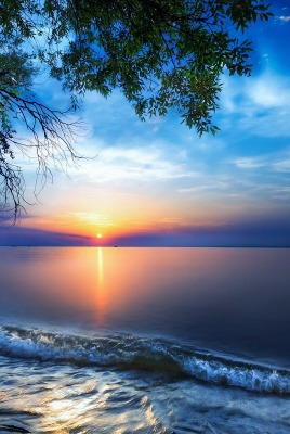 природа море небо горизонт солнце деревья