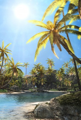 пальмы небо пляж