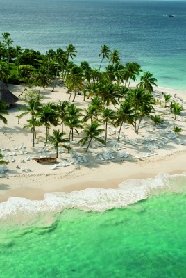 берег волны пляж пальмы