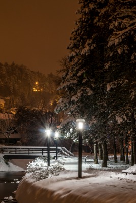 природа деревья свет река мост