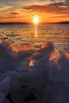 ледяные глыбы закат деревья небо море