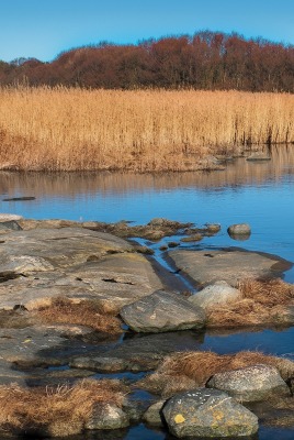 камни вода поле небо