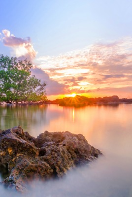 камень вода рассвет дерево озеро