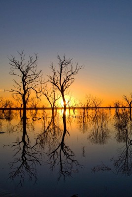 озеро отражение рассвет деревья