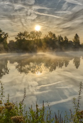 озеро водоем утро туман рассвет