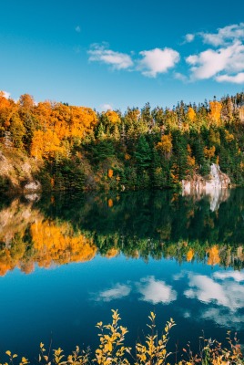 озеро водоем лес отражение штиль осень