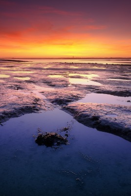 рассвет отлив горизонт море