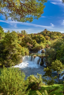 лес водопад речка ясный день