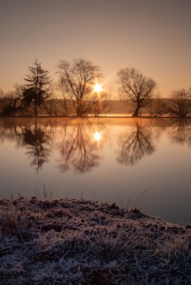 природа озеро на закате деревья