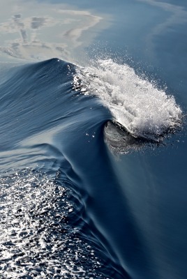 волна вода море