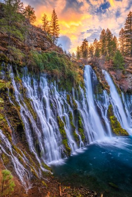 лес водопад скала