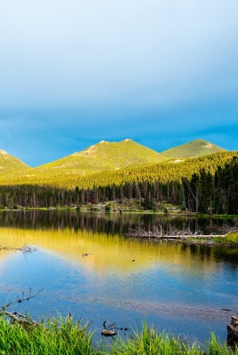 озеро болото водоем горы лес