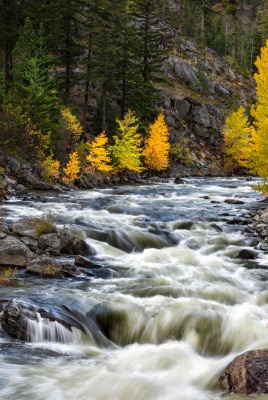 река деревья камни осень