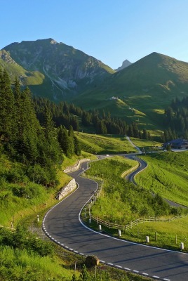 швейцария дорога горы луг лес