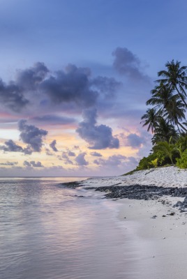 берег песок океан остров пальмы тропики