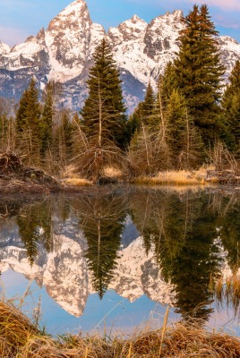 водоем болото озеро лес горы отражение