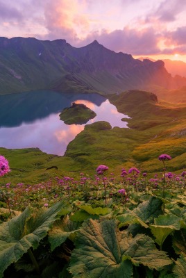 озеро горы на рассвете склон цветы высота