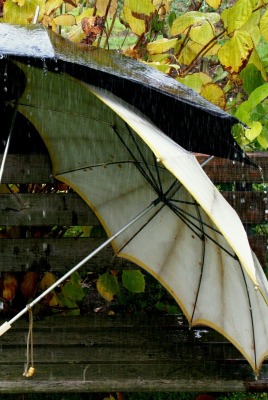 Зонтики на лавке под дождем