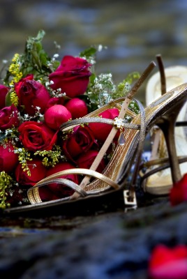 Туфли и розы
