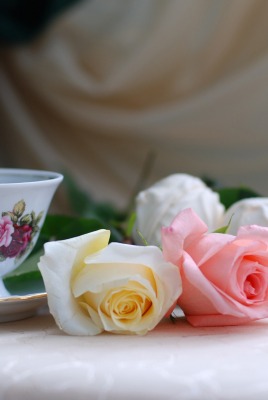 Розы с чаем