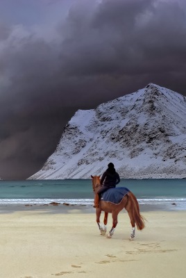 Лошадь берег закат