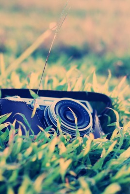 камера фотоаппарат техника трава