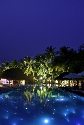 пальмы бассейн курорт